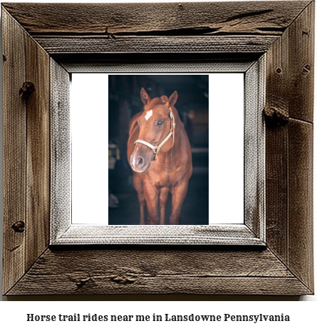 horse trail rides near me in Lansdowne, Pennsylvania